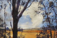 Australian bush painting.